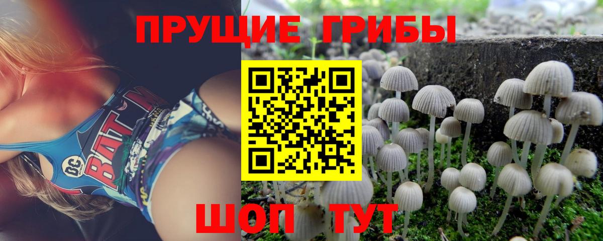 Псилоцибиновые грибы Psilocybine cubensis Хасавюрт